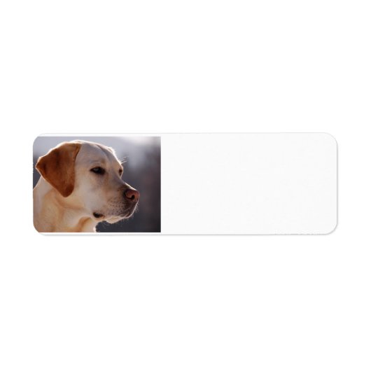 geel 3 Labrador_Retriever.png Etiket (Voorkant)