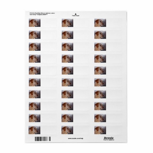 geel 3 Labrador_Retriever.png Etiket (Full Sheet)