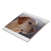geel 3 Labrador_Retriever.png Tegeltje (Zijkant)