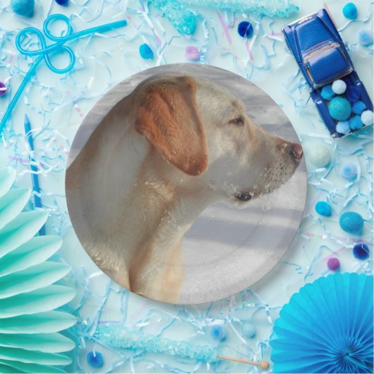 geel 4 lab papieren bordje (Feest)