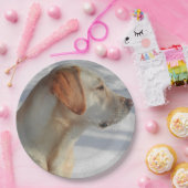 geel 4 lab papieren bordje (Feest)