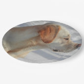 geel 4 lab papieren bordje (Gekanteld)