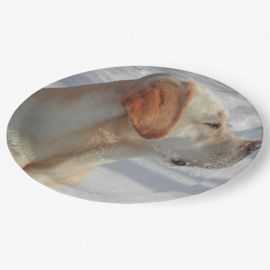 geel 4 lab papieren bordje (Gekanteld)