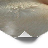 geel 4 lab perfect poster (Hoek)