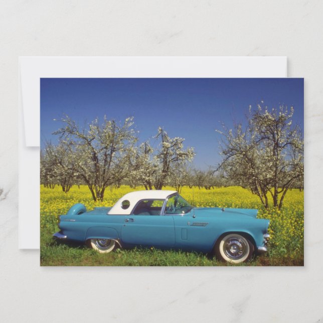 geel 57 T-Bird bloemen (Voorkant)