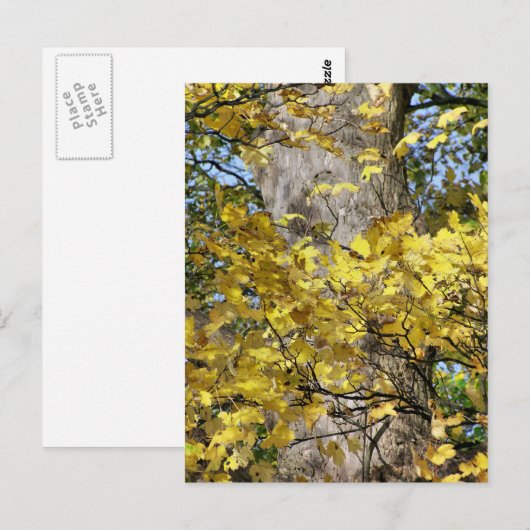 GEEL AUTUMN VERLATEN BRIEFKAART (Voorkant / Achterkant)