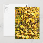 GEEL AUTUMN VERLATEN BRIEFKAART (Voorkant / Achterkant)