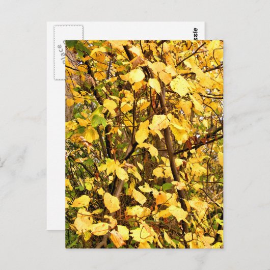 GEEL AUTUMN VERLATEN BRIEFKAART (Voorkant / Achterkant)