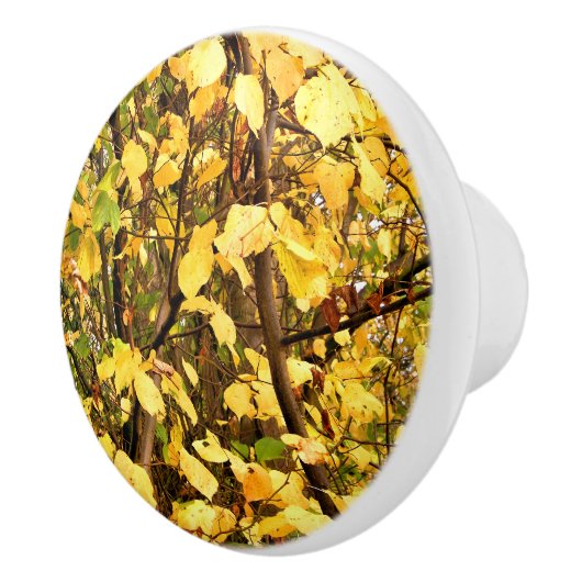 GEEL AUTUMN VERLATEN KERAMISCHE KNOP (Rechts)