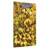 GEEL AUTUMN VERLATEN KLEMBORD (Rechts)