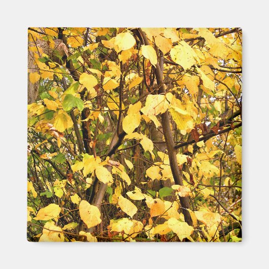 GEEL AUTUMN VERLATEN MAGNEET (Voorkant)