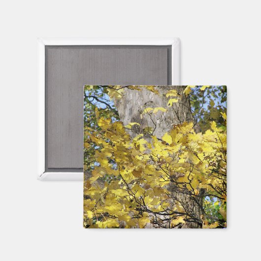 GEEL AUTUMN VERLATEN MAGNEET (Voorkant / Achterkant)