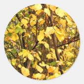 GEEL AUTUMN VERLATEN RONDE STICKER (Voorkant)