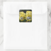 Geel Baard Iris Irissen Bloemen Bloemen Liefde Vierkante Sticker (Tas)