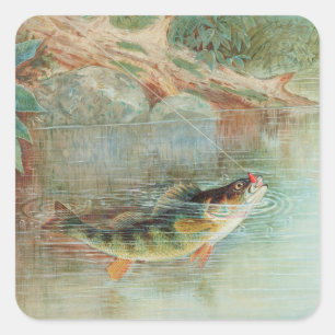 Geel Baars door S.A. Kilbourne, Oude Vis Vierkante Sticker