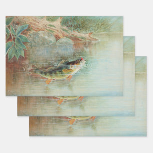 Geel Baars door S.A. Kilbourne, Vintage Vis Inpakpapier Vel