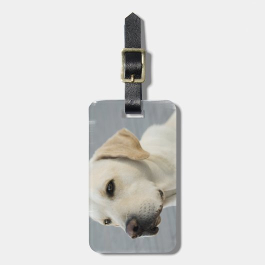 Geel Bagagelabel (Voorkant verticaal)