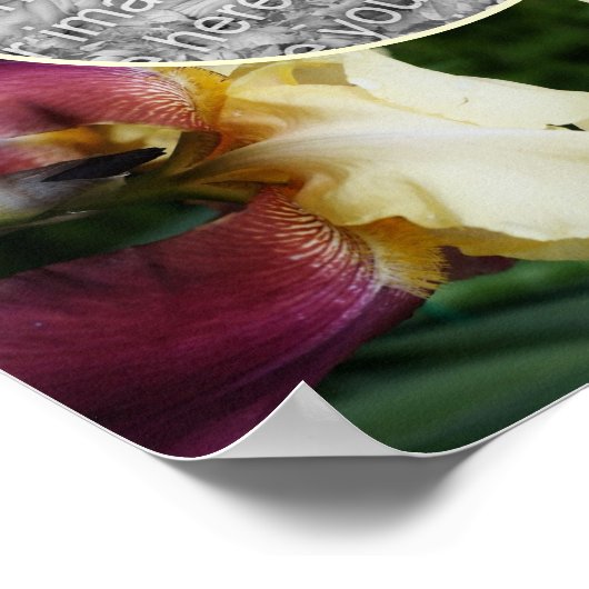 Geel Bearded Iris Flower Creëer Uw eigen foto Poster (Hoek)