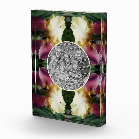 Geel Bearded Iris Flower Creëer Uw Eigen Fotoblokken (Rechts)