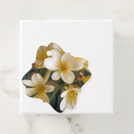 GEEL BEDANKJES LABELS (In situ)