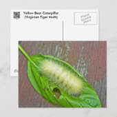 Geel Beer Caterpipe Virginiaanse tijger moth Items Briefkaart (Voorkant / Achterkant)