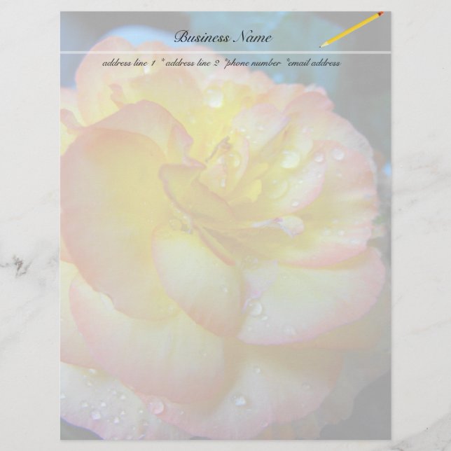  geel Begonia bloem (Voorkant)