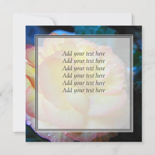  geel Begonia bloem (Voorkant)