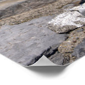 Geel-beige meeuw op rots poster (Hoek)