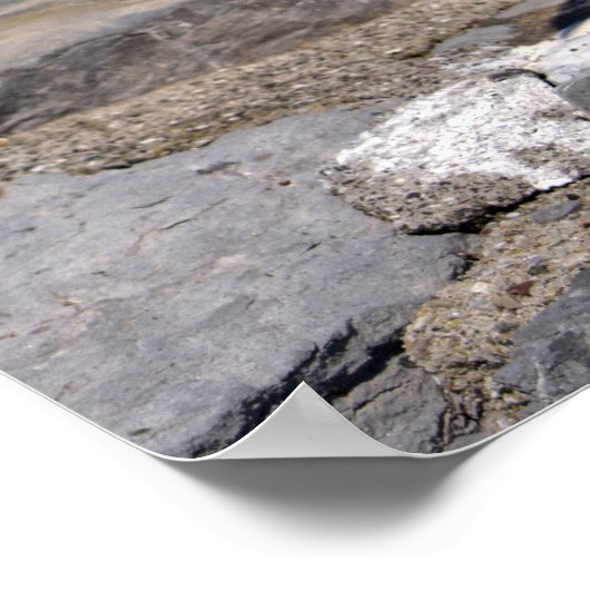 Geel-beige meeuw op rots poster (Hoek)