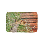 Geel-bellied Marmot door een Barn Wildlife Foto Badmat (Voorkant)