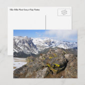 Geel-Bellied Marmot Gazing in het Rocky Mountains Briefkaart (Voorkant / Achterkant)