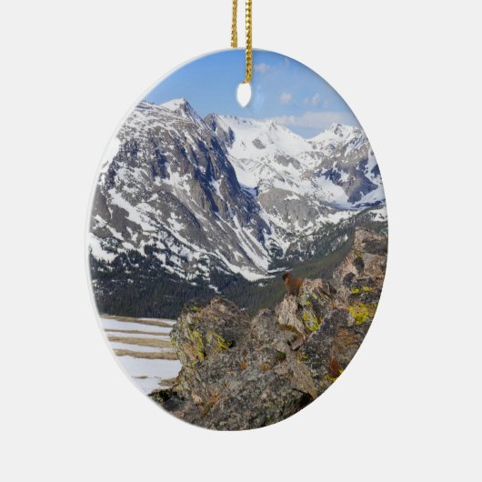 Geel-Bellied Marmot Gazing in het Rocky Mountains Keramisch Ornament (Rechts)