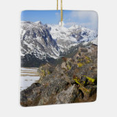 Geel-Bellied Marmot Gazing in het Rocky Mountains Keramisch Ornament (Rechts)