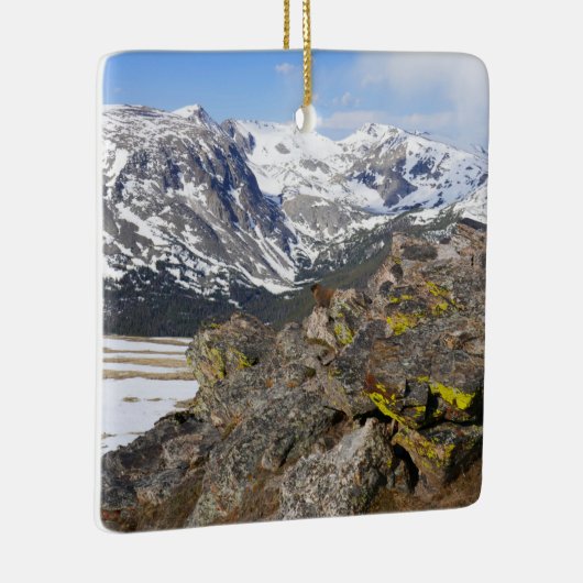 Geel-Bellied Marmot Gazing in het Rocky Mountains Keramisch Ornament (Rechts)