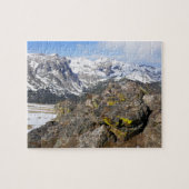 Geel-Bellied Marmot Gazing in het Rocky Mountains Legpuzzel (Horizontaal)