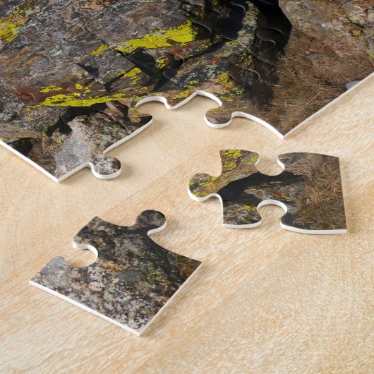 Geel-Bellied Marmot Gazing in het Rocky Mountains Legpuzzel (Zijkant)