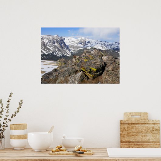 Geel-Bellied Marmot Gazing in het Rocky Mountains Poster (Keuken)