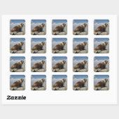 Geel Bellied Marmot in Yosemite Vierkante Sticker (Vel)