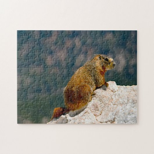 Geel Bellied Marmot Utah. Legpuzzel (Horizontaal)
