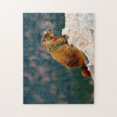 Geel Bellied Marmot Utah. Legpuzzel (Verticaal)