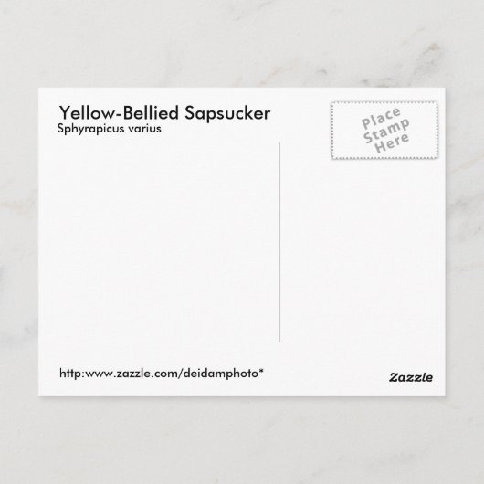 Geel-Bellied Sapsucker Briefkaart (Achterkant)