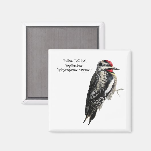 Geel-Bellied Sapsucker Magneet (Voorkant / Achterkant)