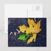 Geel blad briefkaart (Voorkant / Achterkant)