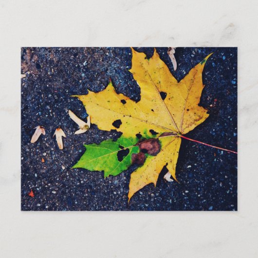 Geel blad briefkaart (Voorkant)