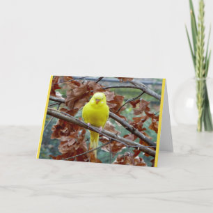 Geel blanco vogel Wenskaart Kaart