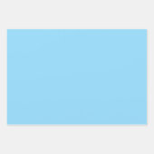 Geel Blauw Roze Wilde Bloemen Veld 2025 Inpakpapier Vel (Voorkant 3)