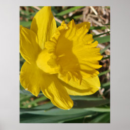 Geel bloemenposter poster
