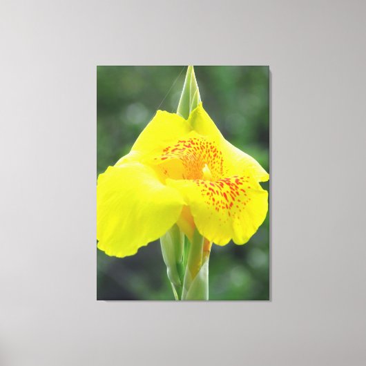 Geel bloemportret canvas afdruk (Voorkant)