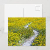 Geel bloemveld briefkaart (Voorkant / Achterkant)