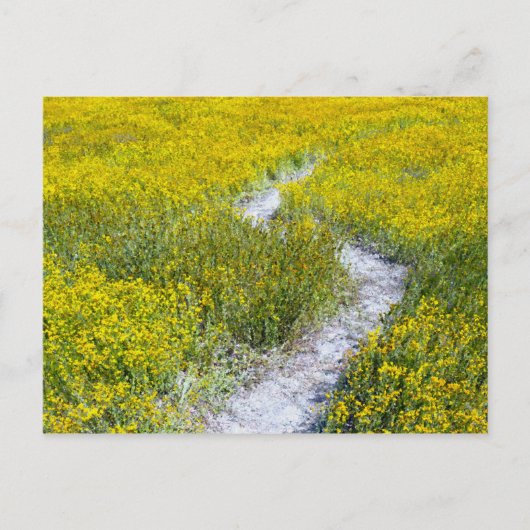 Geel bloemveld briefkaart (Voorkant)